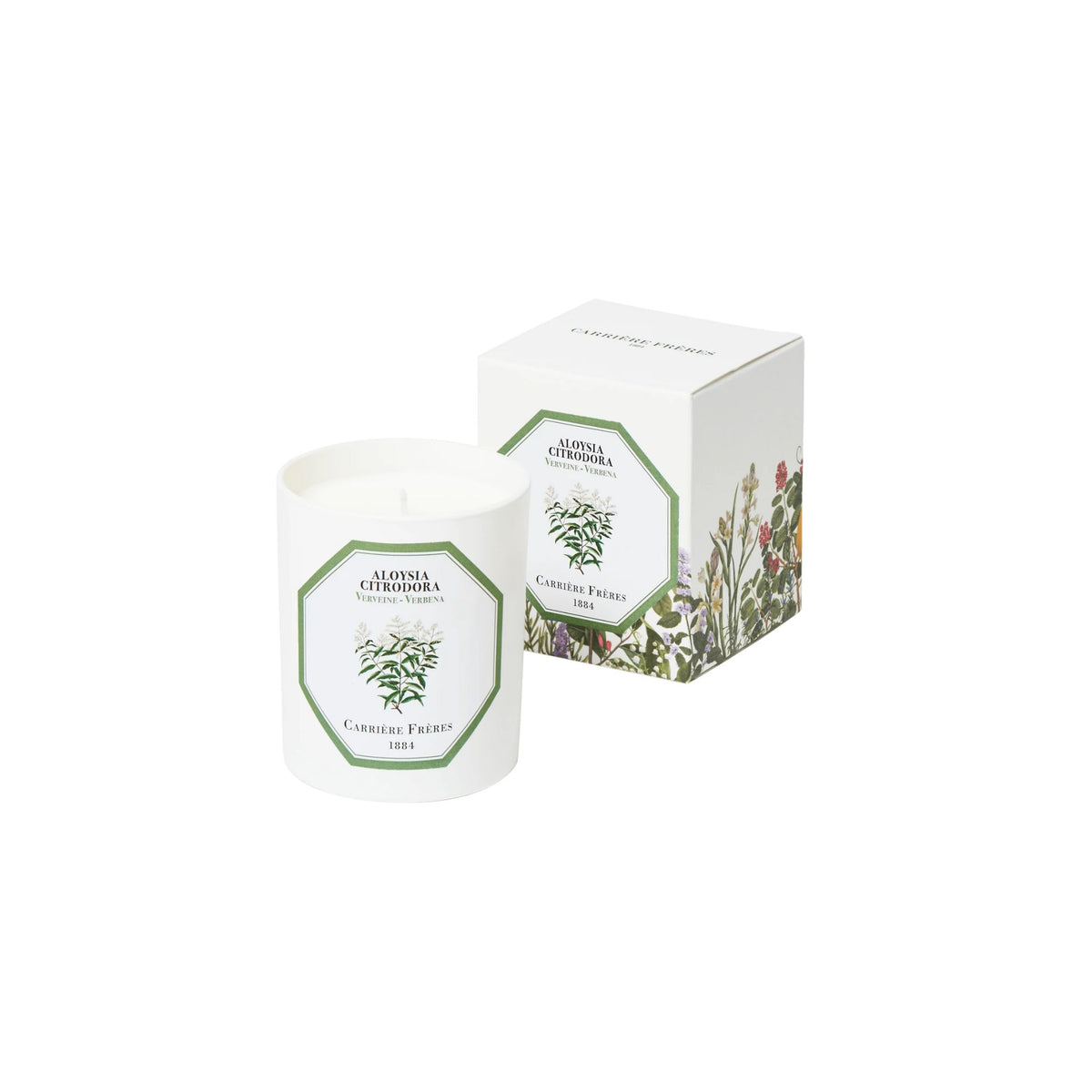 Candle Verbena