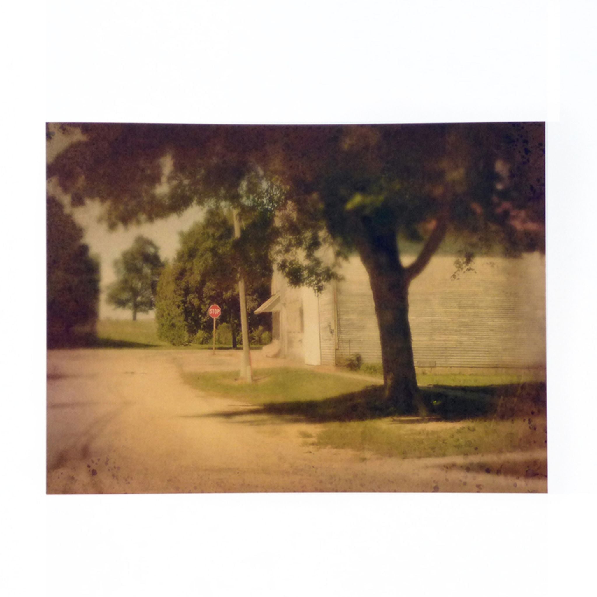 This Land by Jack Spencer