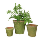 Large Aged Harlequin Terracotta Planter