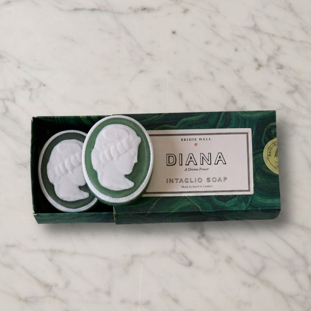 Brown on Rose Shell Dish and Soap Gift Set