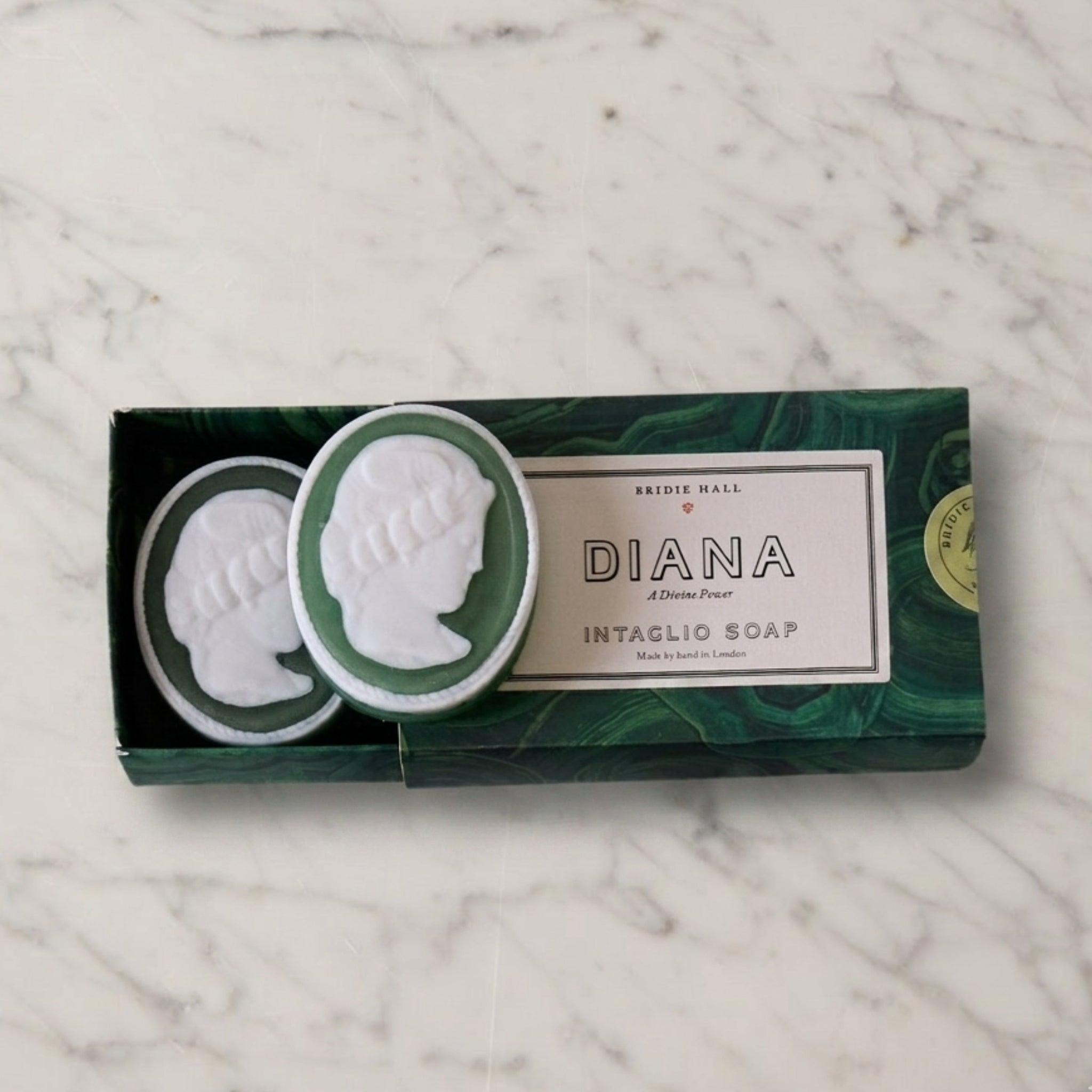 Brown on Rose Shell Dish and Soap Gift Set