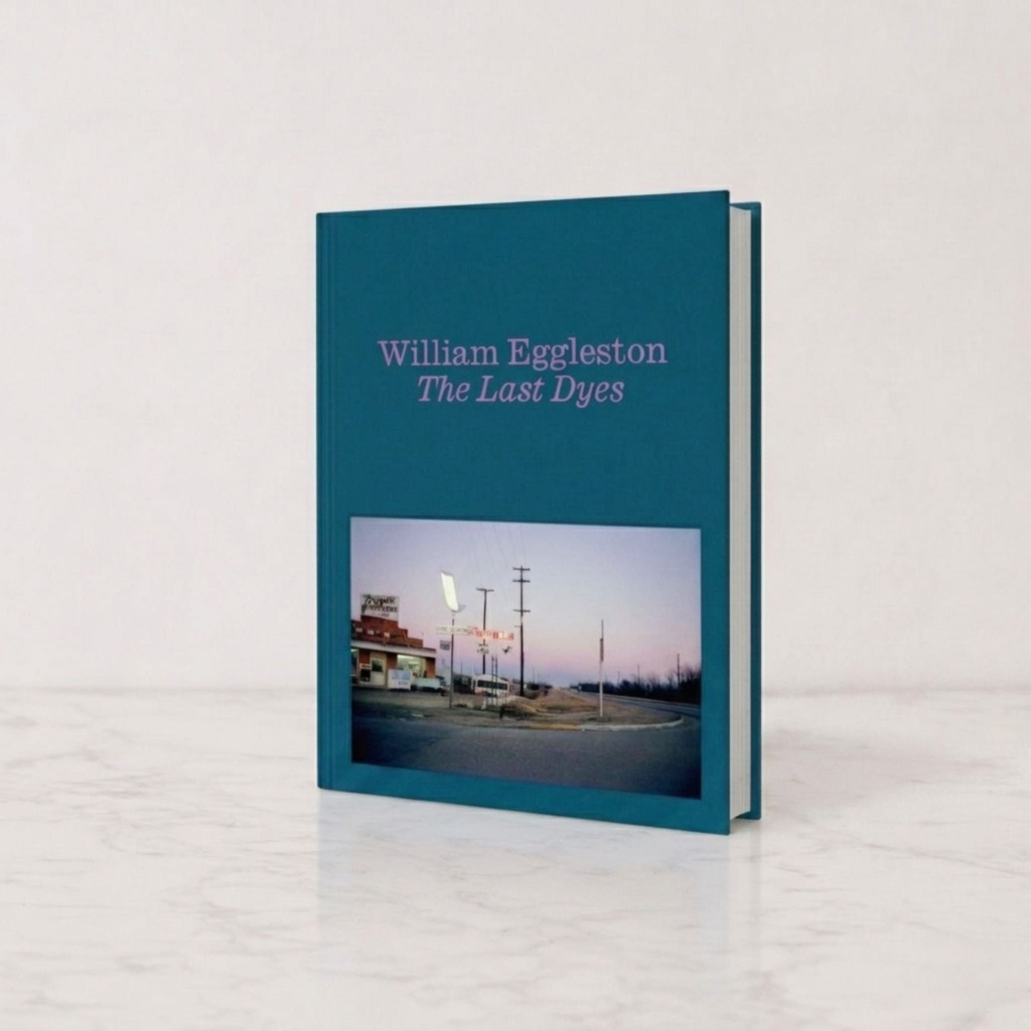 The Last Dyes by William Eggleston