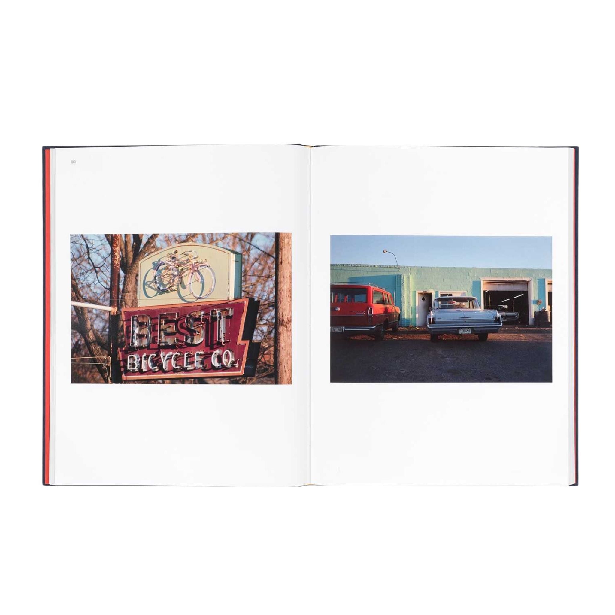 The Last Dyes by William Eggleston