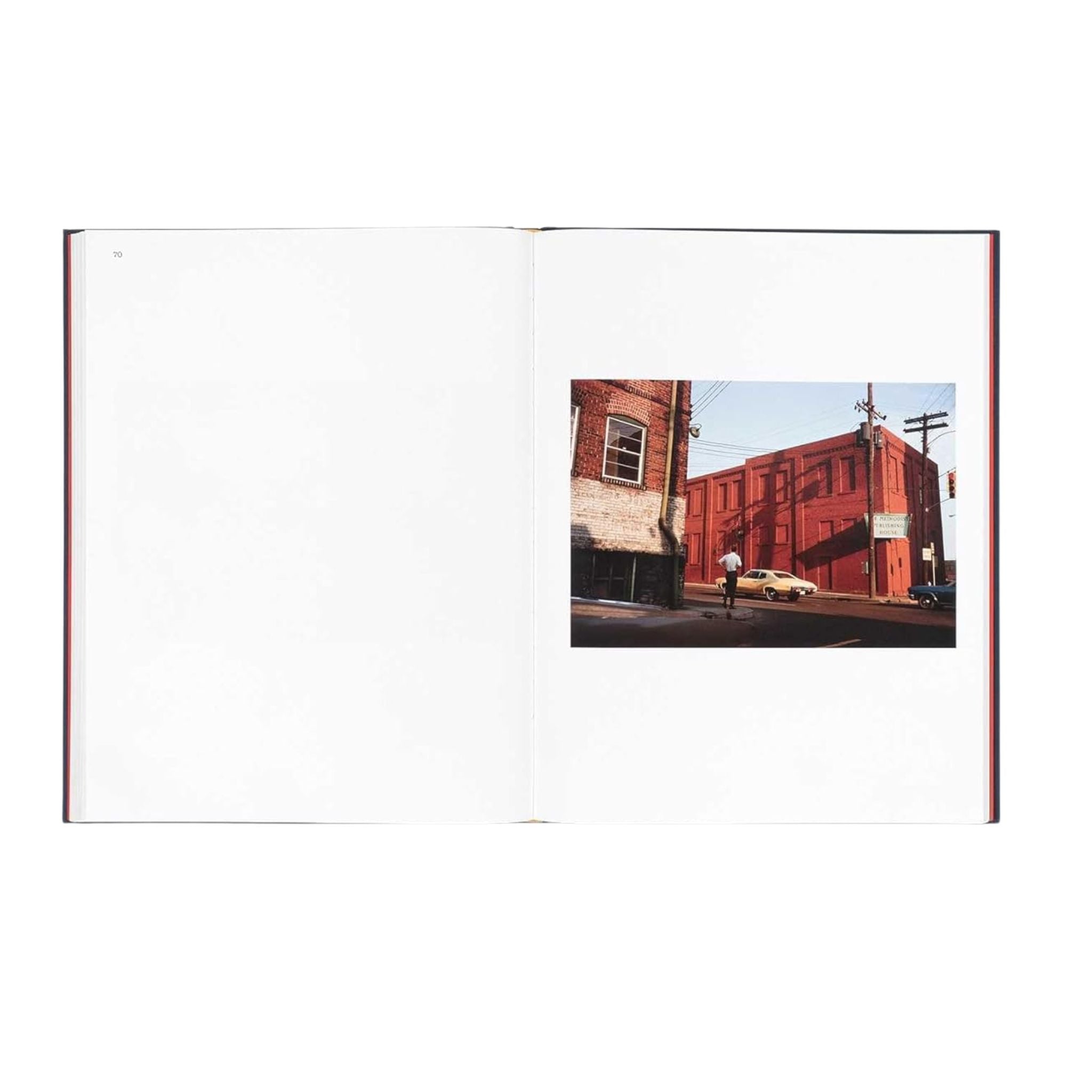 The Last Dyes by William Eggleston