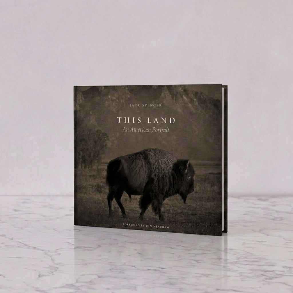 This Land by Jack Spencer