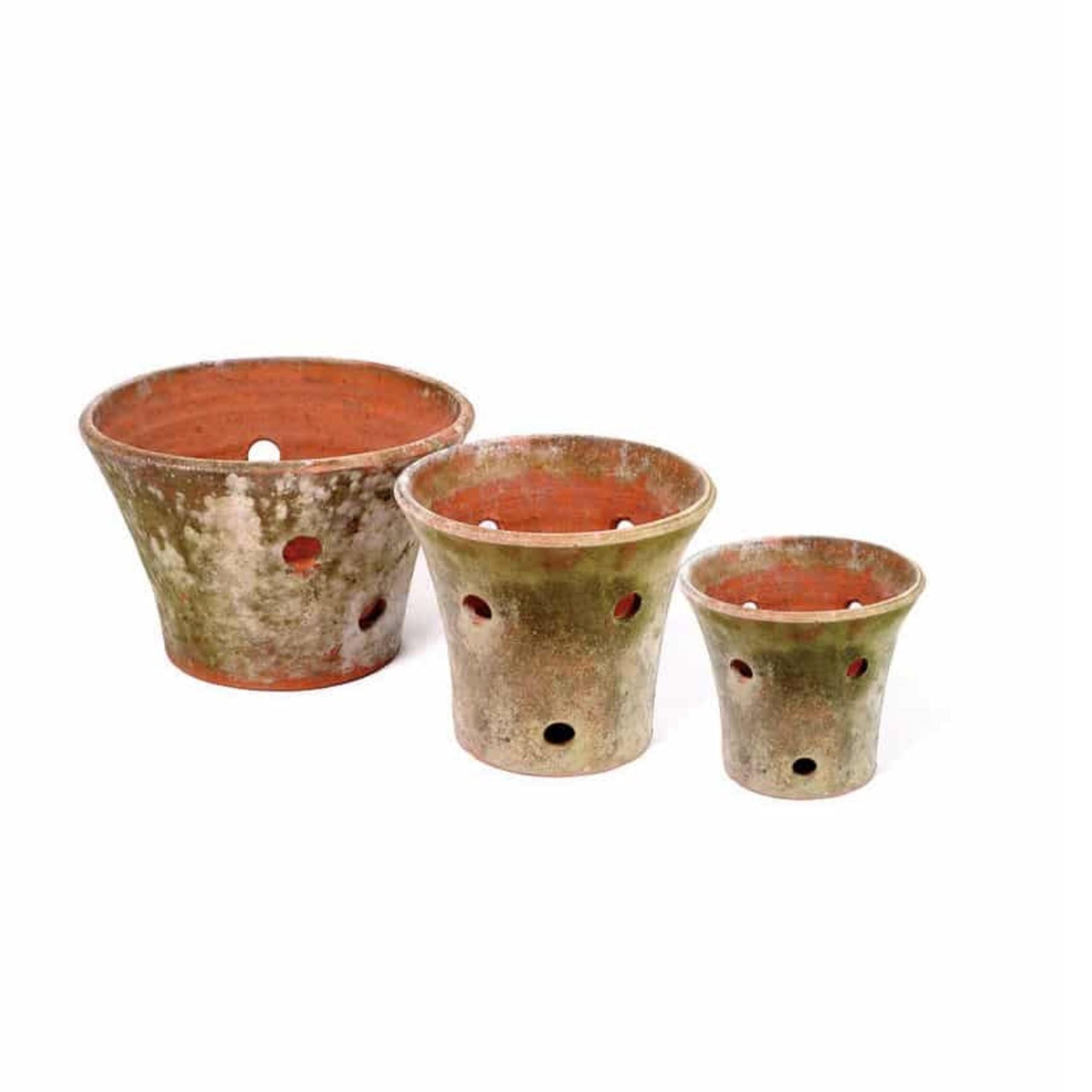 Large Orchid Terracotta Planter