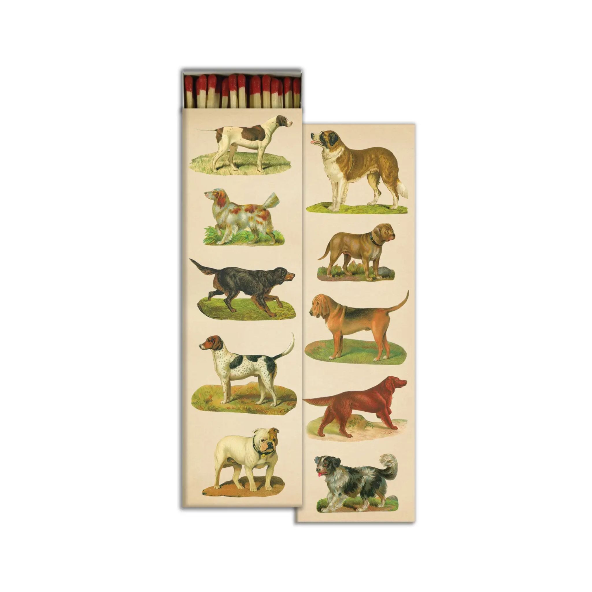 English Dogs Matches