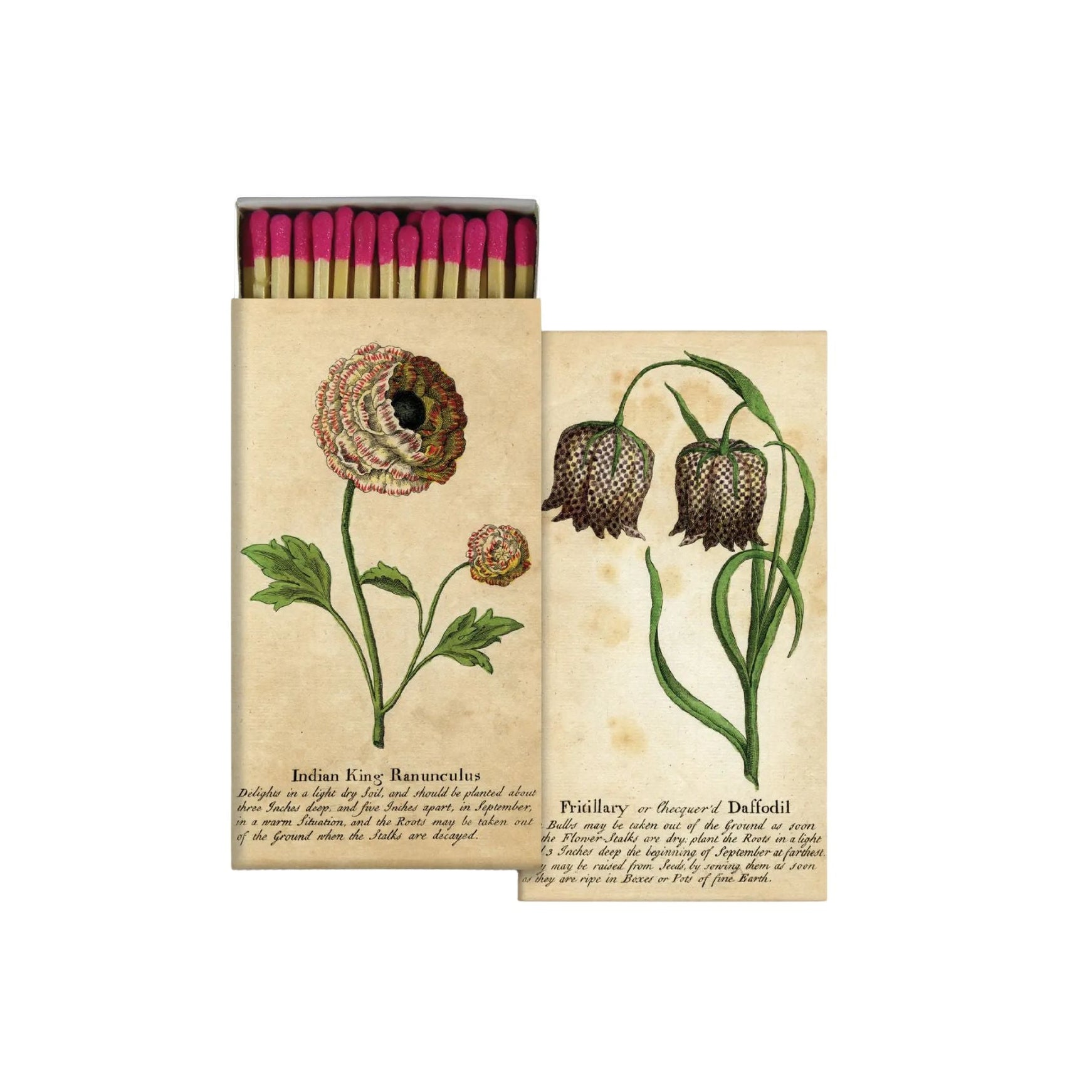 Ranunculus & Daffodill Matches