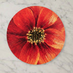 Summerill & Bishop Set of four Dahlia Round Cork-Backed Placemats