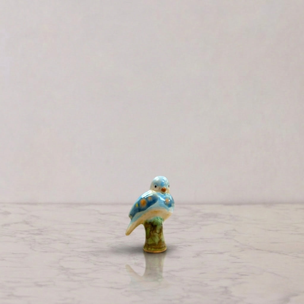 Songbird on Branch, Glacier & Sand