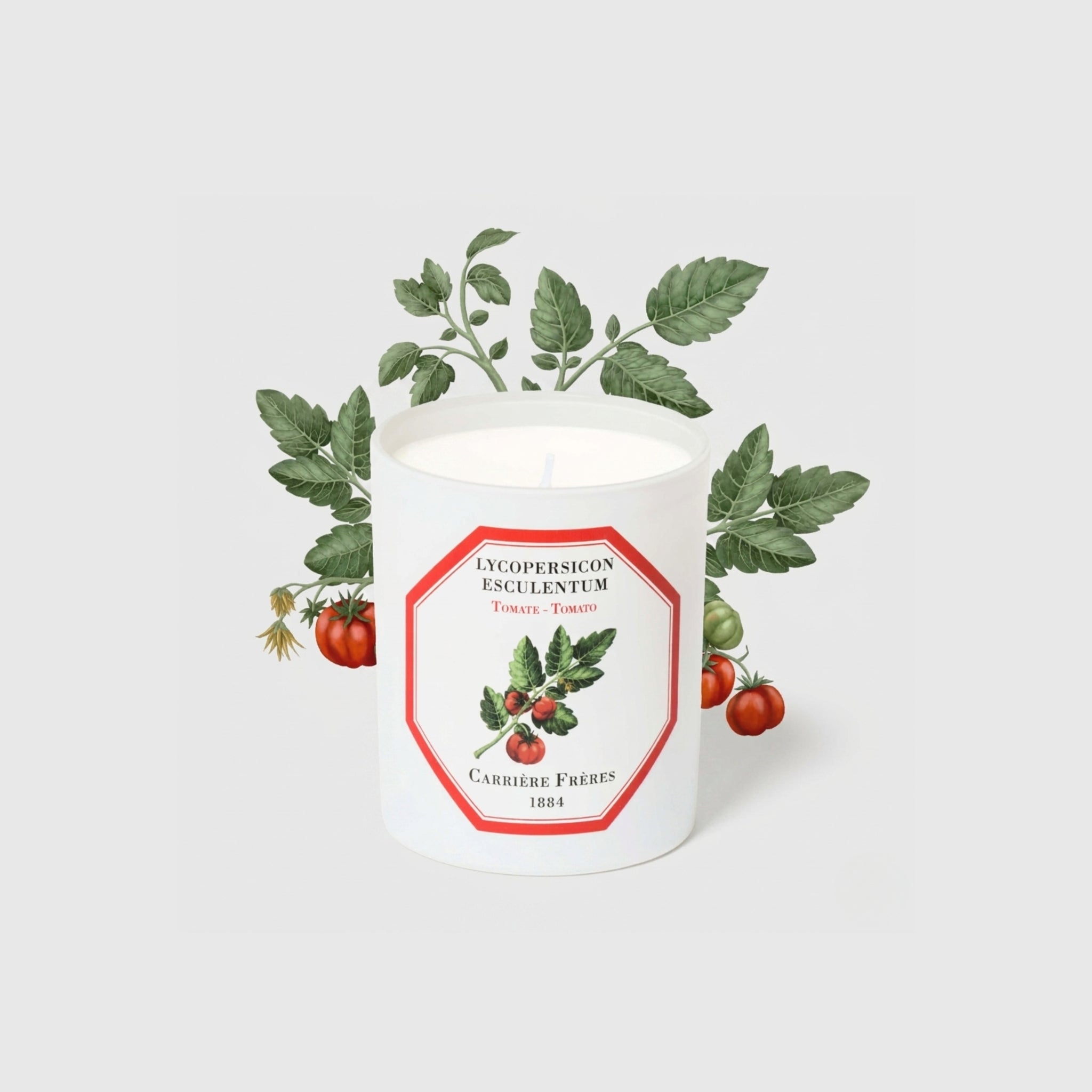 Carrière Frères Candle, Tomato