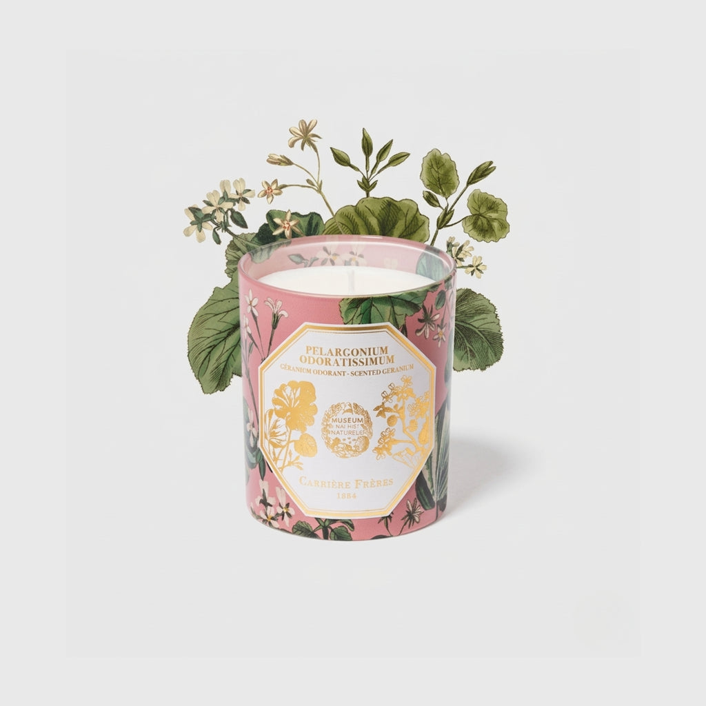 Carrière Frères Candle, Geranium