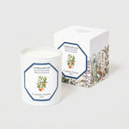 Carrière Frères Candle, Orange Blossom