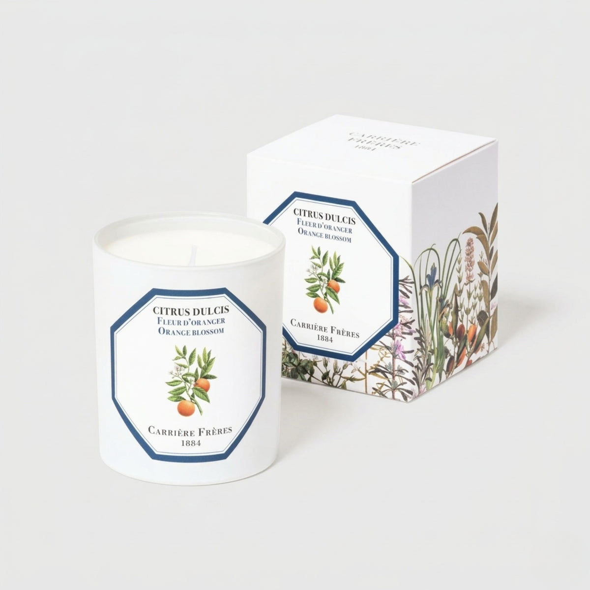 Candle Blossom