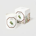 Carrière Frères Candle Cedar
