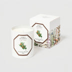 Carrière Frères Candle Cedar