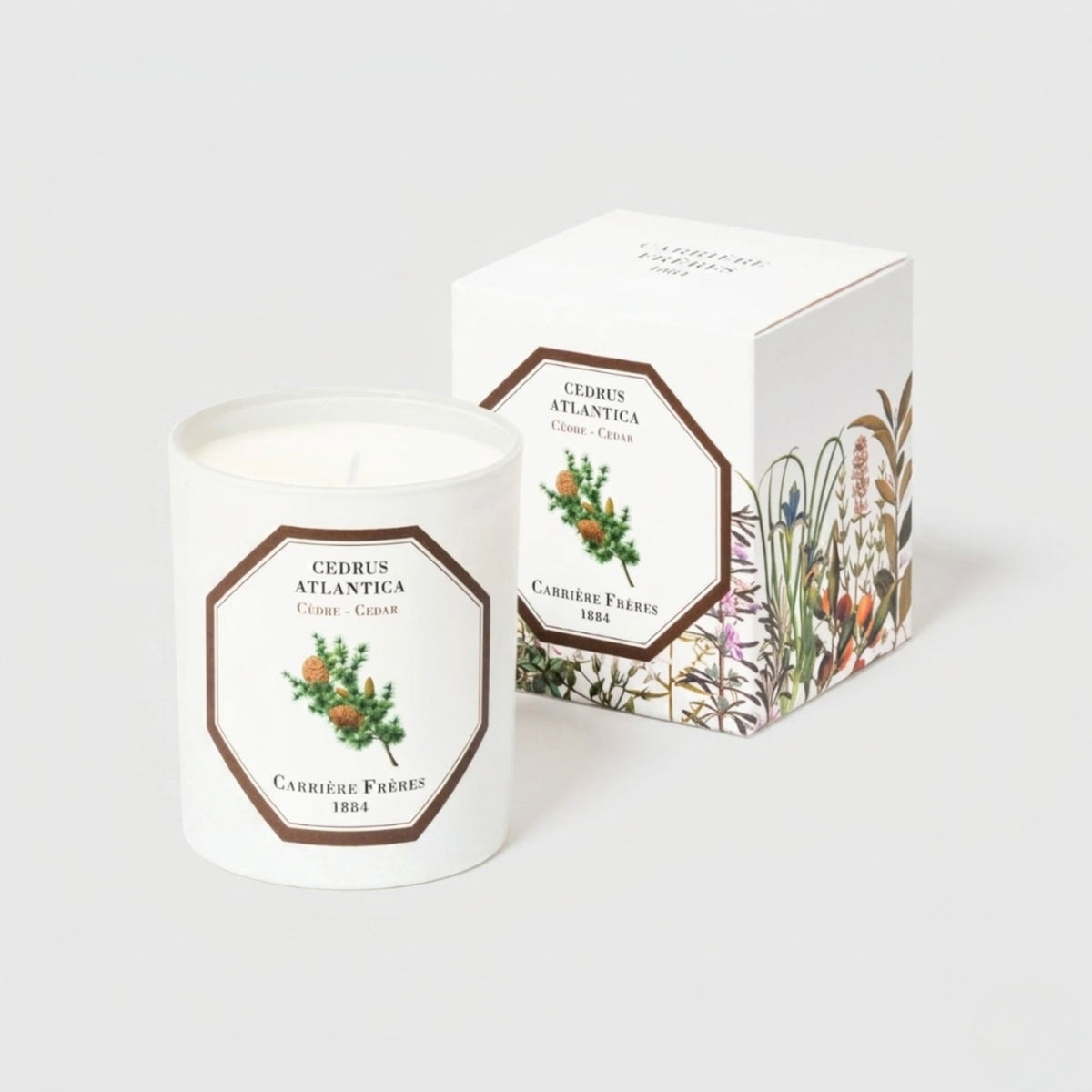 Candle Cedar