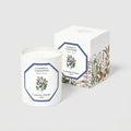 Carrière Frères Candle, Gardenia