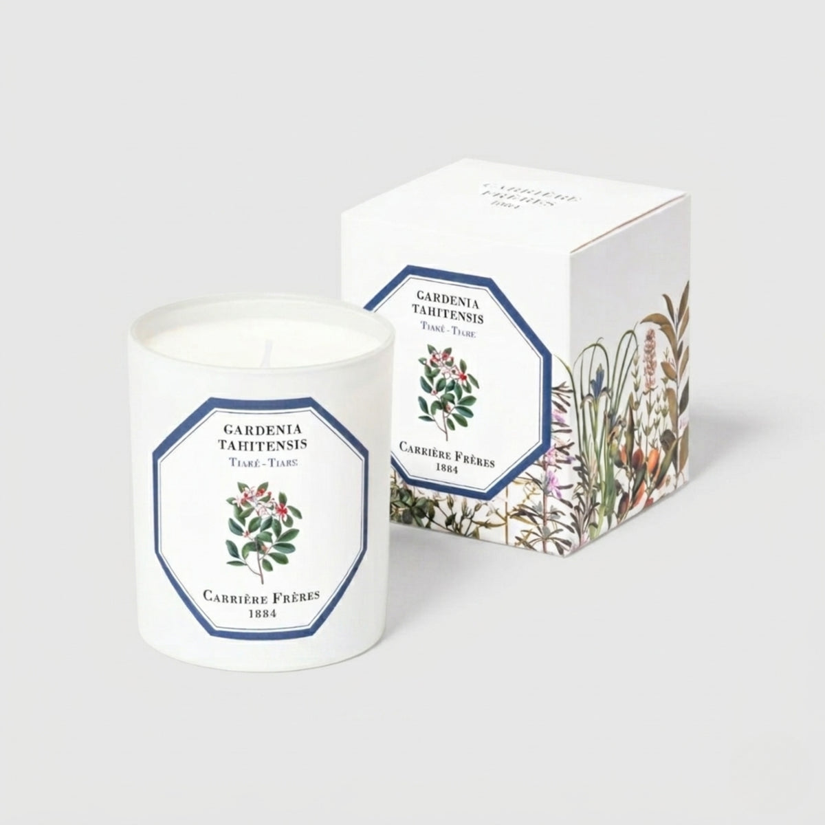 Candle Gardenia