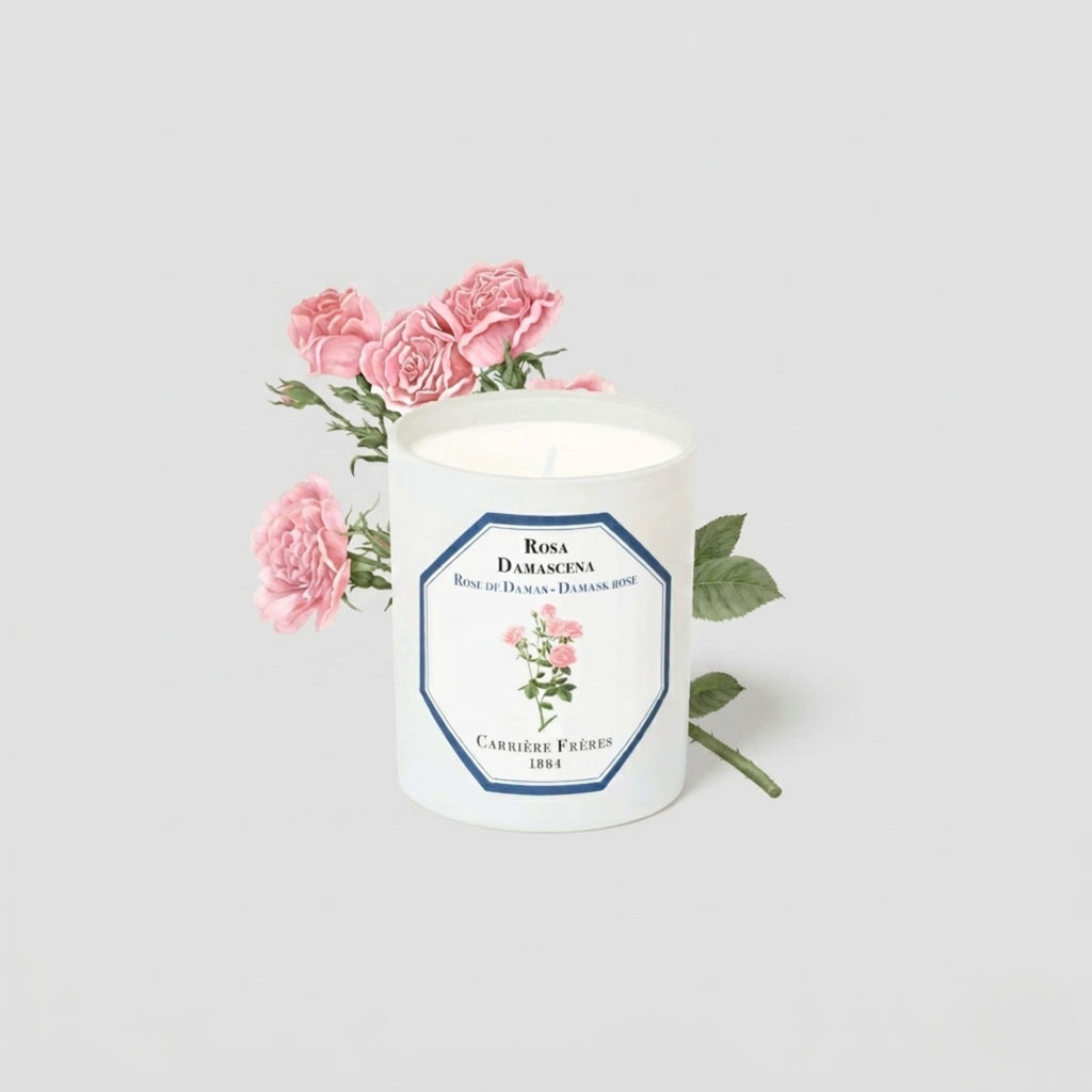 Carrière Frères Candle, Damask Rose