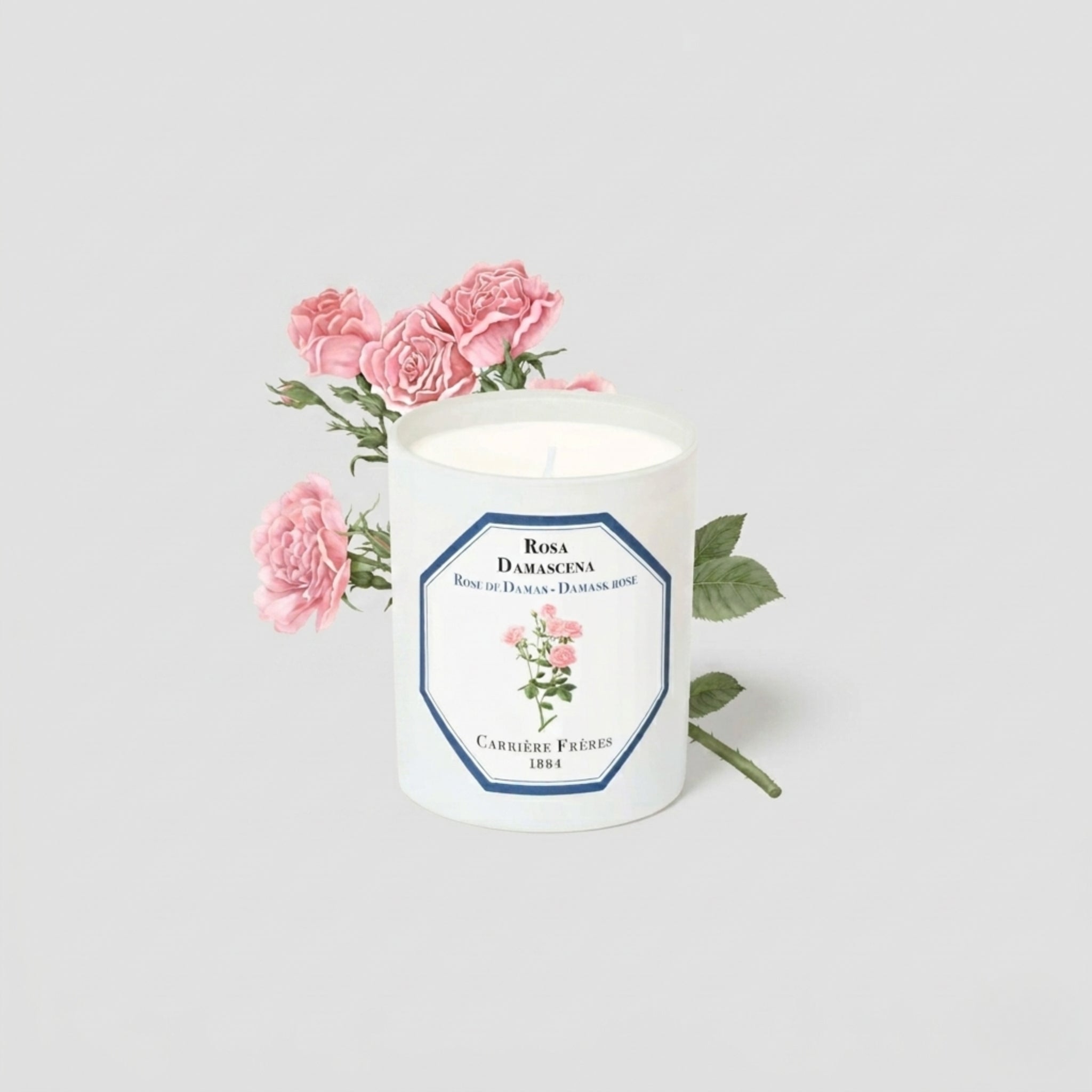 Carrière Frères Candle, Damask Rose