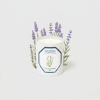 Carrière Frères Candle, Lavender