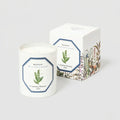 Carrière Frères Candle, Lily of the Valley