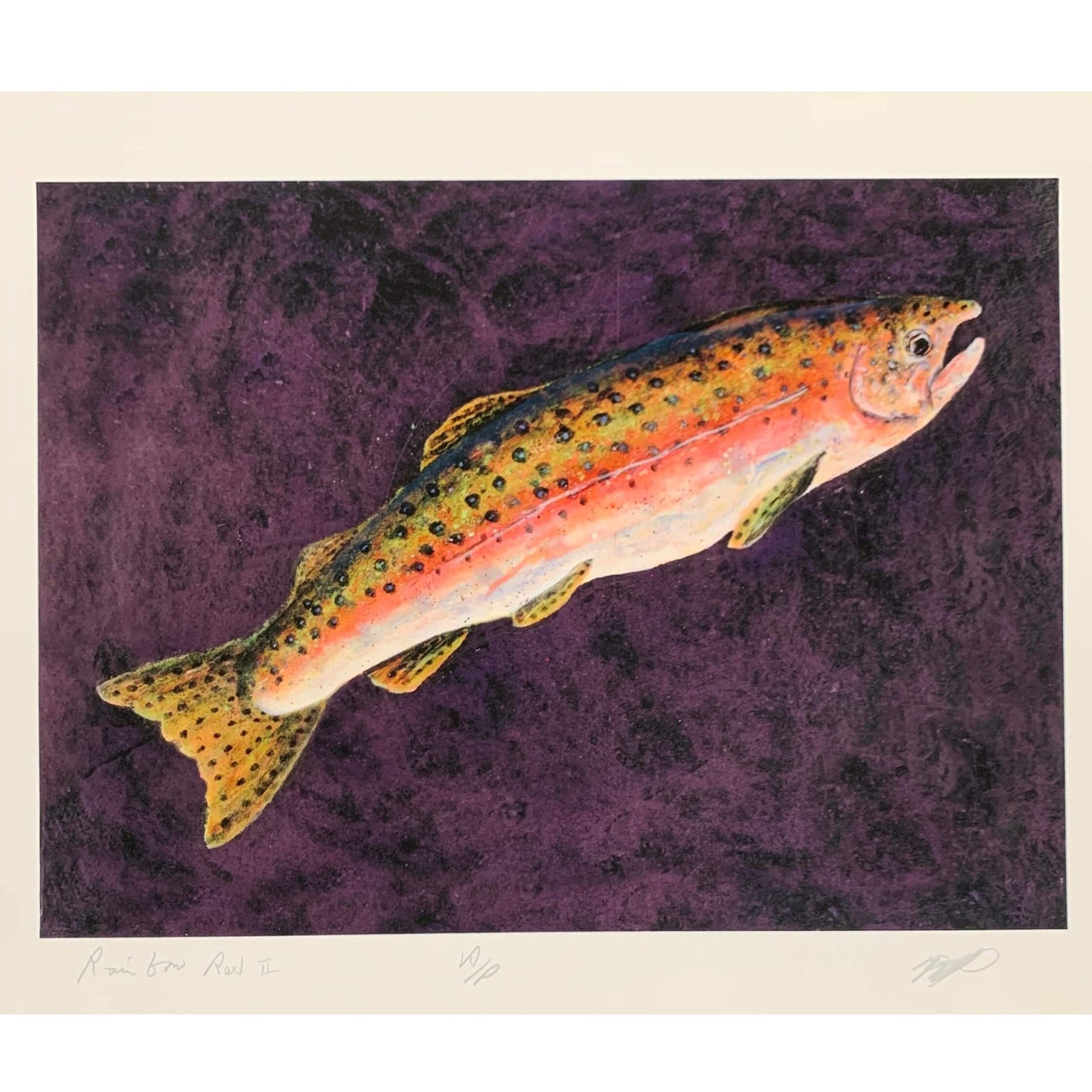 Rainbow Red II