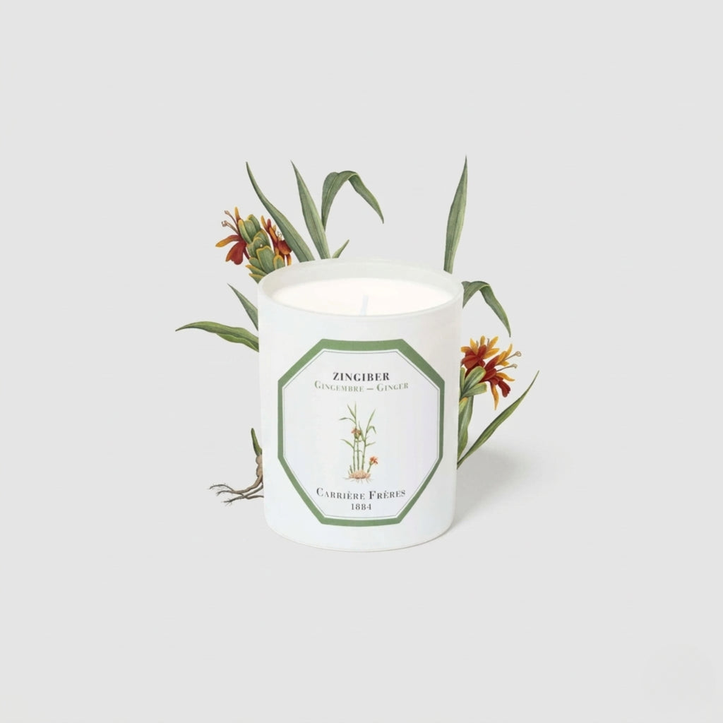 Carrière Frères Candle, Ginger