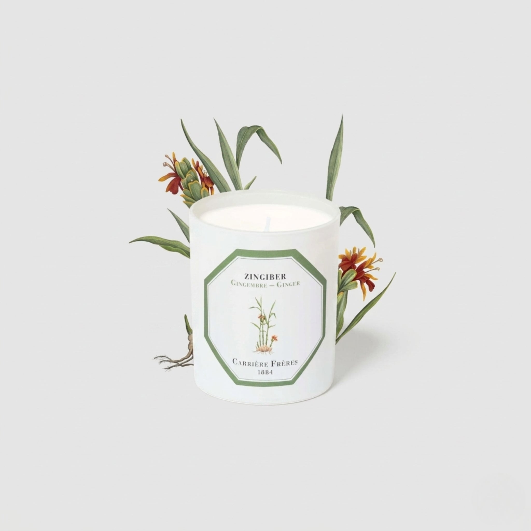 Carrière Frères Candle, Ginger