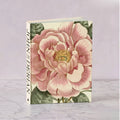John Derian Picture Book II