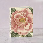 John Derian Picture Book ll