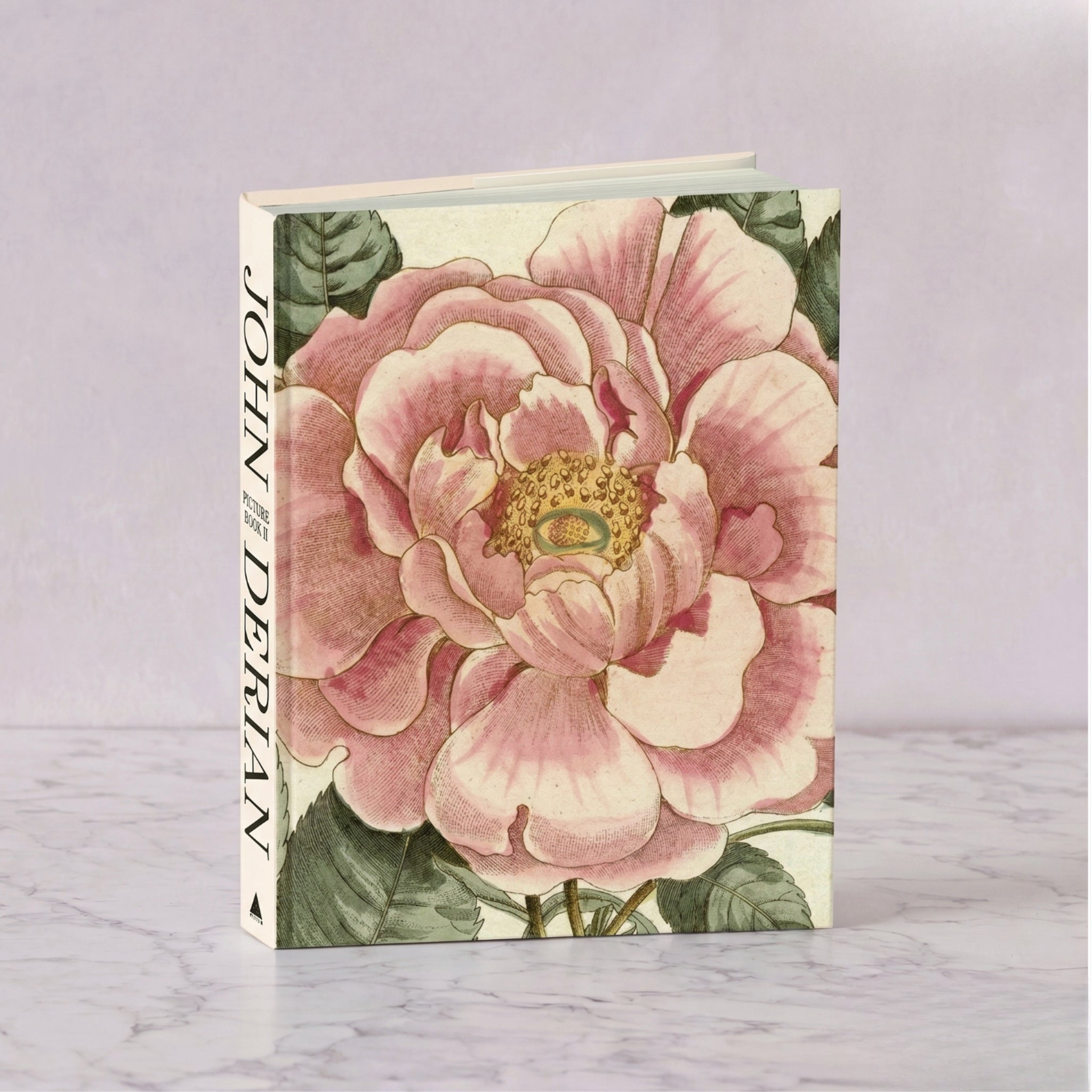 John Derian Picture Book ll