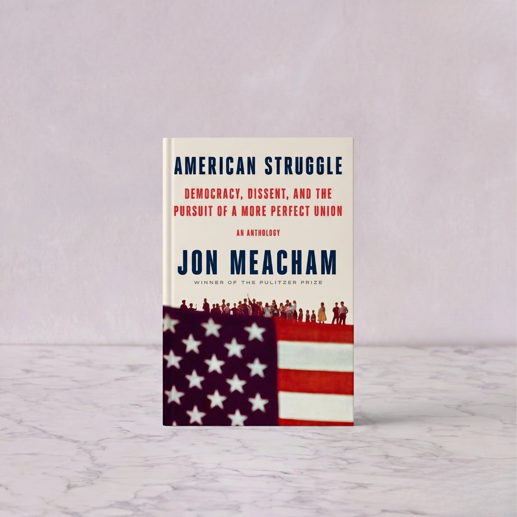 American Struggle: Democracy, Dissent, and the Pursuit of a More Perfect Union: An Anthology