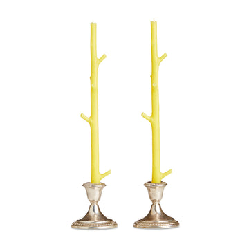 Maple Stick Candles, Lemon Sorbet