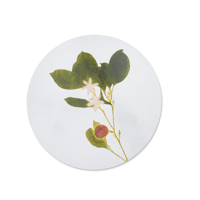 Summerill & Bishop Set of Six Set of Six Herbarium Round Cork-Backed Placemats