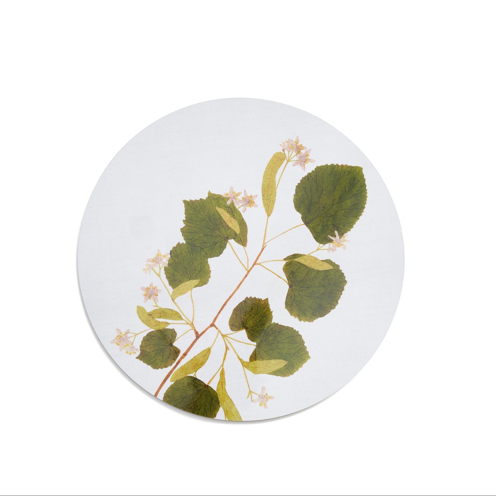 Summerill & Bishop Set of Six Set of Six Herbarium Round Cork-Backed Placemats