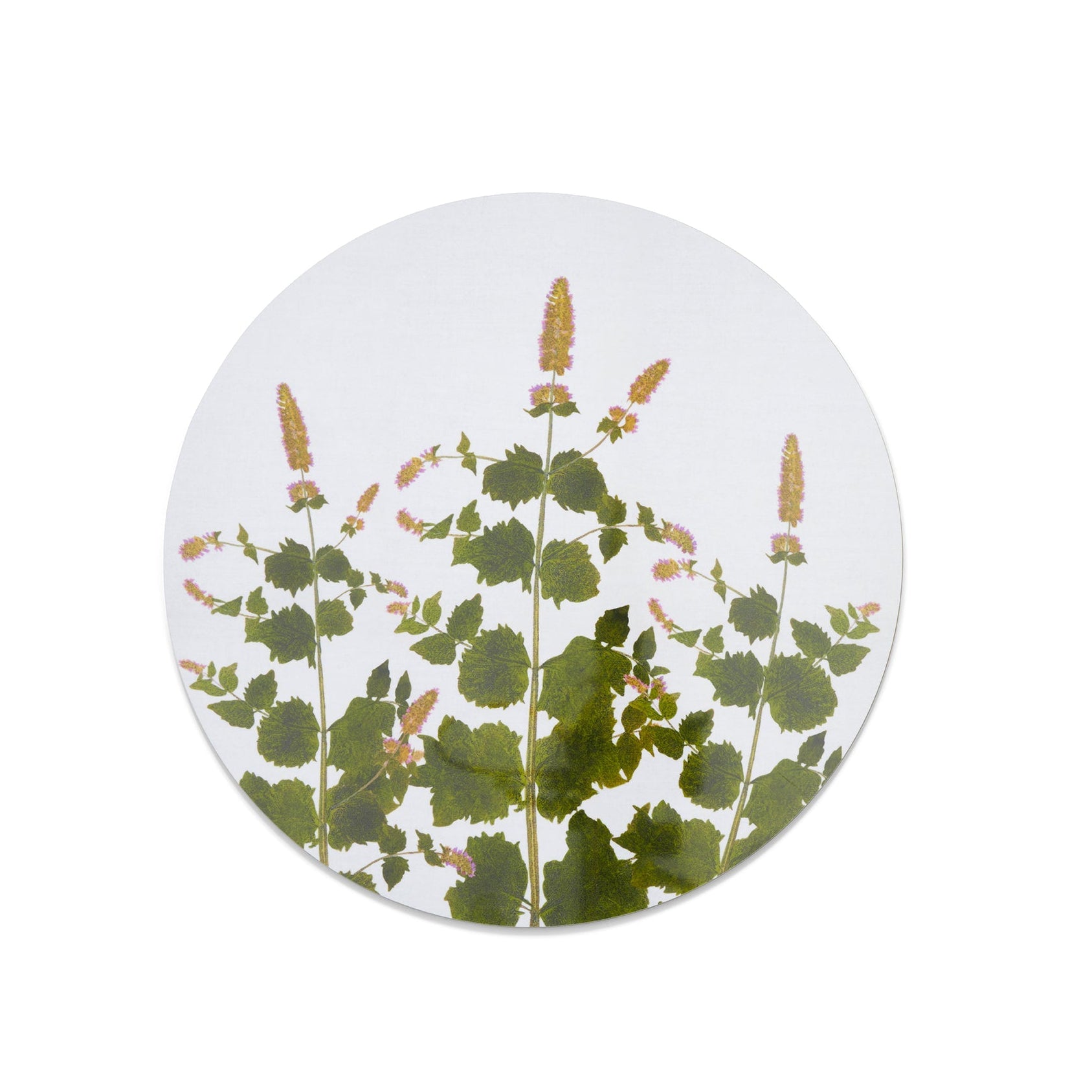 Summerill & Bishop Set of Six Set of Six Herbarium Round Cork-Backed Placemats