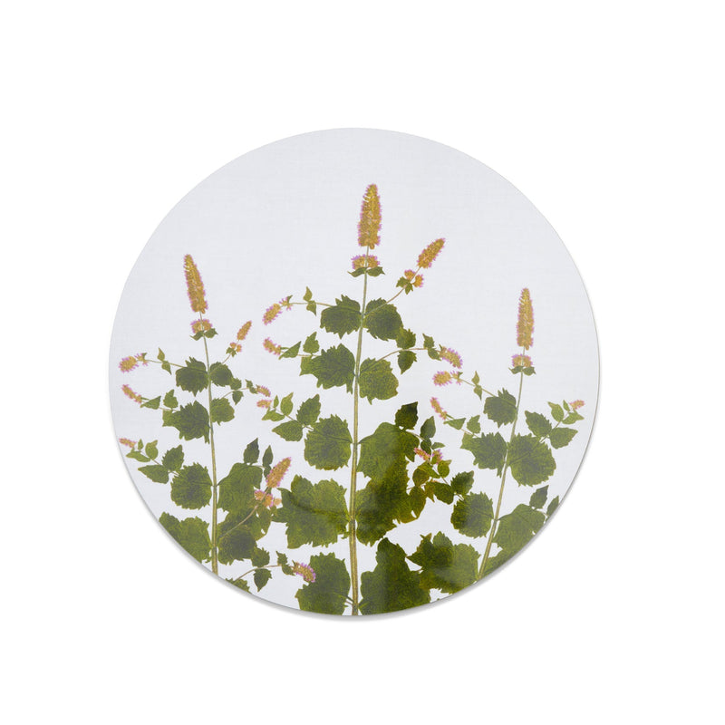 Summerill & Bishop Set of Six Set of Six Herbarium Round Cork-Backed Placemats