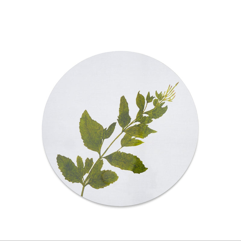 Summerill & Bishop Set of Six Set of Six Herbarium Round Cork-Backed Placemats