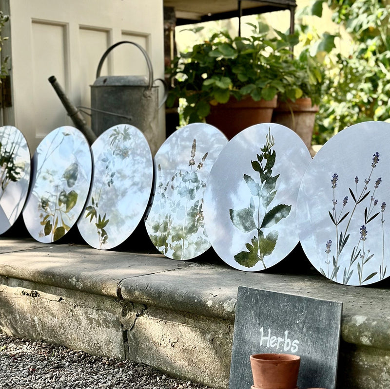 Summerill & Bishop Set of Six Set of Six Herbarium Round Cork-Backed Placemats