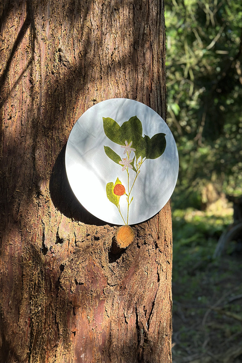 Summerill & Bishop Set of Six Set of Six Herbarium Round Cork-Backed Placemats