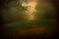 "Tennessee Clearing" by Jack Spencer