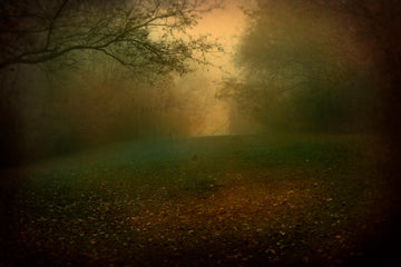 "Tennessee Clearing" by Jack Spencer