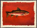 Trout Rouge by William Dunlap